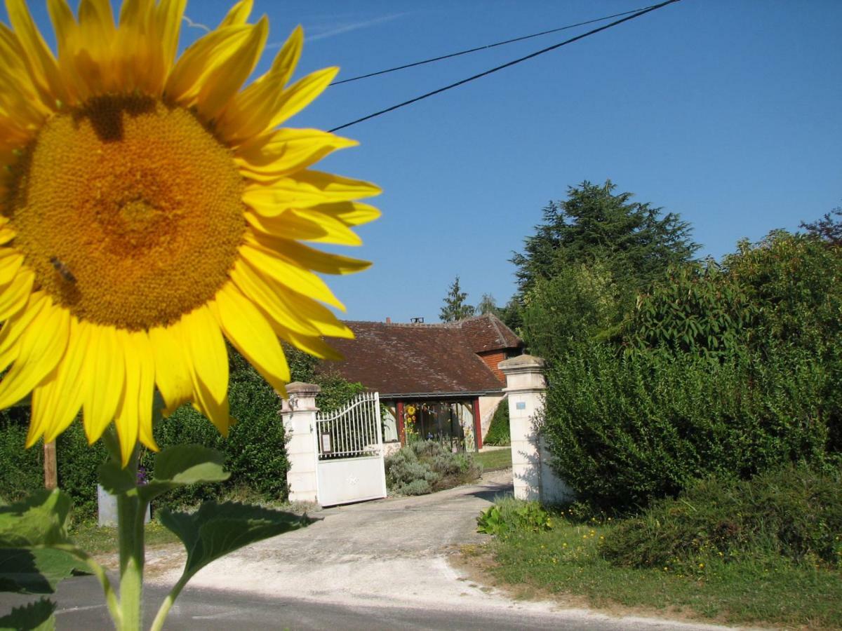 Le Clos Du Petit Marray Bed and Breakfast Chambourg-sur-Indre Exteriör bild
